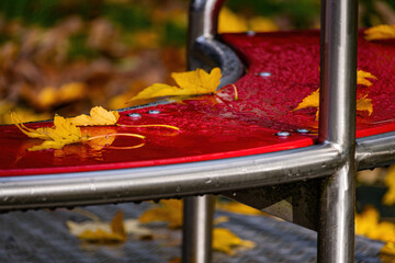 Fall trees landscape in vibrant colors