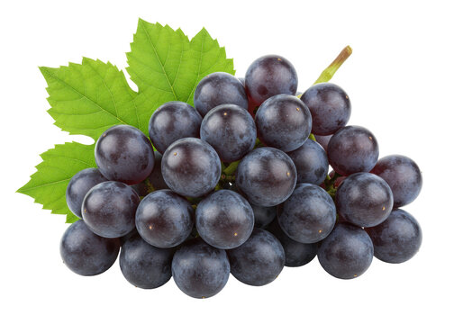 Isolated Concord grapes bunch with leaves, fresh fruit, organic and healthy dessert food - Powered by Adobe