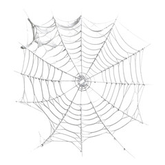 Obraz premium Intricate Spiderweb: An elegant illustration of a spider's intricate web, a testament to nature's artistry and the spider's meticulous craftsmanship.