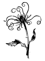 Weed tree vector engraving style illustration