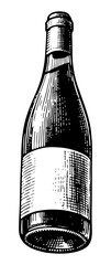 Wine bottle. Vector engraving style illustration