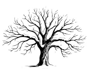 Winter tree vector engraving style illustration