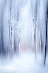 Obraz premium Blurred lines evoke a winter forest scene. Frosty trees stand in the snow, creating a dreamy and serene atmosphere.