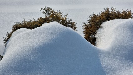 winter landscape with snow covered trees
