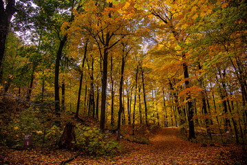 Mont Royal, Mount Royal Park, automne