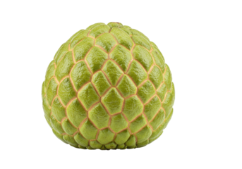 Isolated custard apple close-up showcasing the skin pattern, a tropical and healthy fruit for sale