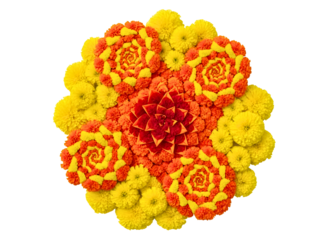 Intricate floral mandala design isolated on transparent background