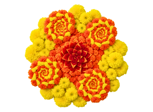 Intricate floral mandala design isolated on transparent background