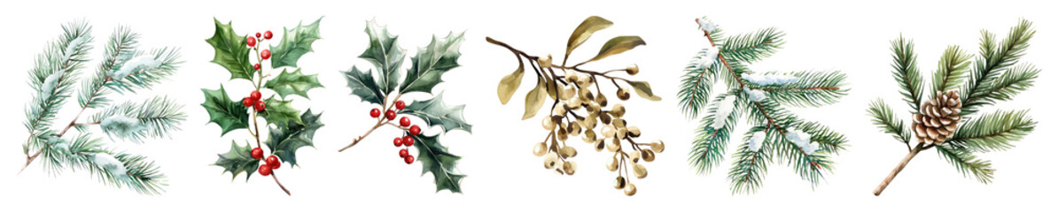 PNG Festive evergreen branches with berries, element set on transparent background