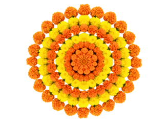 Intricate floral mandala design isolated on transparent background