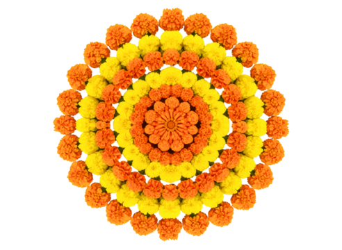 Intricate floral mandala design isolated on transparent background