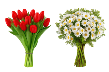 Two beautiful floral bouquets, perfect for any occasion. Isolated on transparent background, png