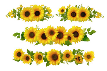 Obraz premium Bright and vibrant sunflower collection arrangement. Isolated on transparent background, png