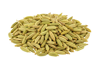 Isolated pile of dry fennel seeds ready for cooking, seasoning, or adding flavor to food