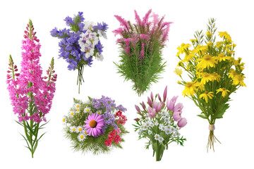  array of vibrant flowers displaying different colors. Isolated on transparent background, png