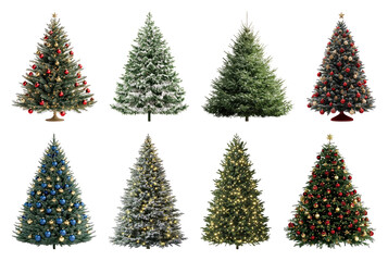 Naklejka na ściany i meble PNG Festive Christmas tree collection, element set on transparent background