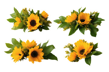  collection of vibrant sunflowers. Isolated on transparent background, png