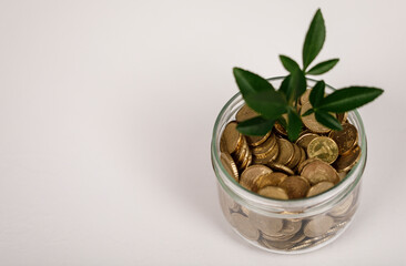 Concept image featuring a glass jar filled with gold coins and a growing plant, symbolizing financial growth, investment, and saving. Ideal for