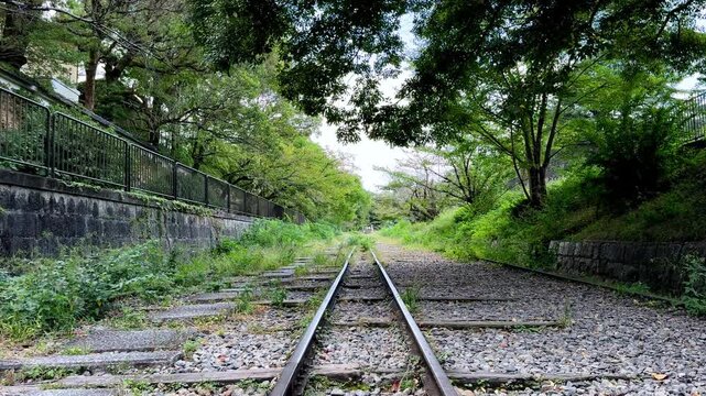 Old railway tracks bordered by stone walls and green trees