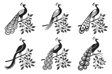Minimalist watercolor peacock icon set
