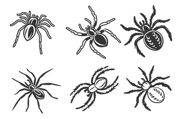 Minimalist wolf spider icon set in black and yellow