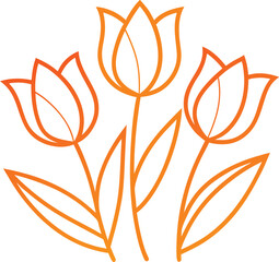 Beautiful Orange Tulip Botanical Line Art Illustration Vector