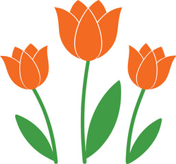 Beautiful Orange Tulip Botanical Line Art Illustration Vector