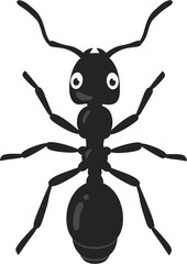 Little Black Ant