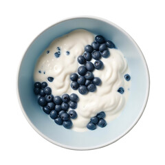 Creamy yogurt bowl topped with fresh blueberries overhead view
