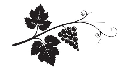 Black silhouette of a grape vine with leaves and a bunch of grapes isolated on transparent background