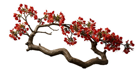 Realistic Tree Branch With Red Flowers Isolated Background