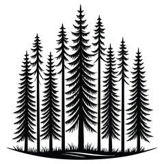 Obraz premium A black silhouette of a pine tree forest