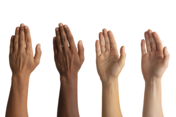 Hands raised with diverse skin tones. Isolated on transparent background, png