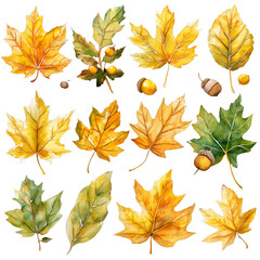 Naklejka premium a watercolor collection of various autumn leaves and acorns scattered across a white background.