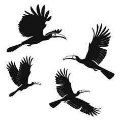 Obraz premium set of silhouettes of birds