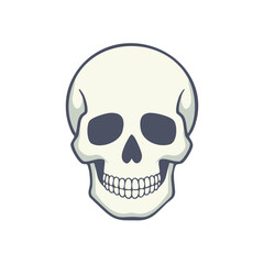 Fototapeta premium Illustration of a human skull with a neutral expression and visible teeth