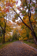 autumn in the park
