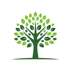 Fototapeta premium Green tree illustration with lush leaves and branches isolated on white background