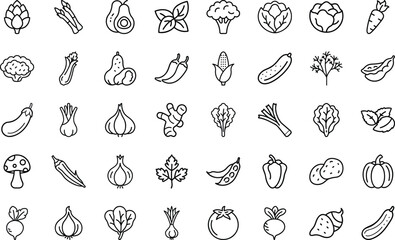 Vegetable And Organic Food icon set.  Collection With vegetable, tomato, cucumber, onion, pumpkin, pepper, eggplant, zucchini, avocado, spinach, peas, corn, garlic, Vector Icon Set On White Background