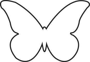 butterfly on white background