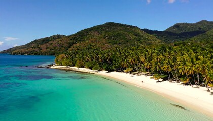 Fototapeta premium Tropical beach paradise (2)