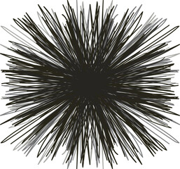 Naklejka premium On the screen there is a large sea urchin or barb.