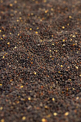 black rapeseed seeds are used to produce rapeseed oil, closeup, black rapeseed is used to produce food products