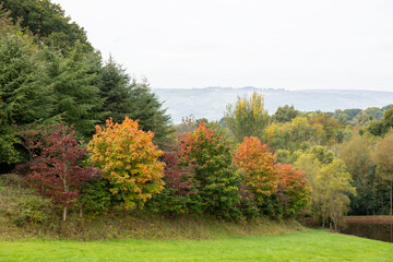 Autumn and fall seasonal picture with beautiful tree's of various tones in a rich countryside landscape. Country walks and trekking image. Changing seasons.