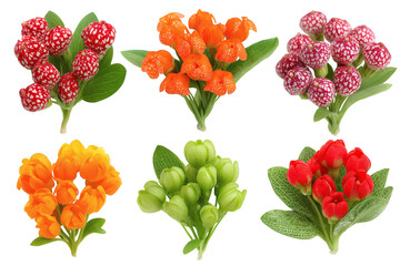  collection of vibrant flowers displaying a spectrum of colors . Isolated on transparent background, png
