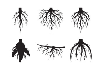 a collection of vector graphic designs featuring various plant root shapes, perfect for stickers, decorations, cutting, and print files.
