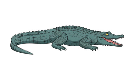 Naklejka premium Detailed Illustration of a Green Alligator with Mouth Open
