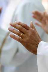 Catholic mass.  Eucharistic celebration. Priest consecrating the hosts. La Roche sur Foron.  France.