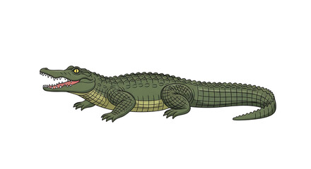 Obraz premium Detailed illustration of a powerful green crocodile, a wild swamp predator concept