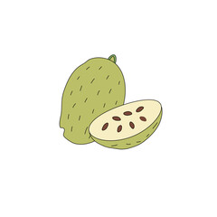 seamless pattern with fruits. Seamless background with fruits.. seamless pattern with fruit. set of fruits. Tropical Essence Fruit Collection. Elegant Exotic Fruits Illustration. 
